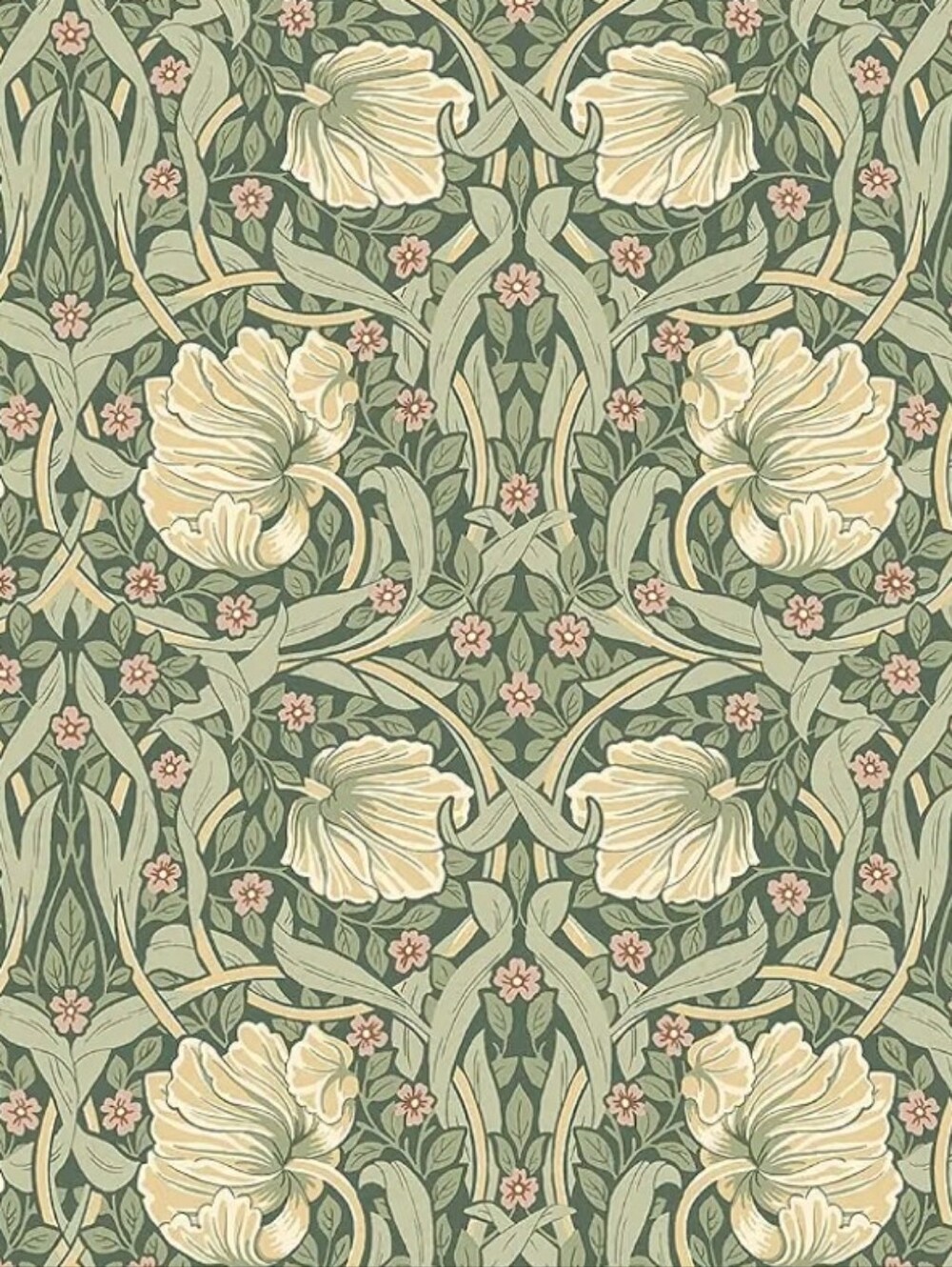 NWT NextWall Pimpernel Floral Peel and Stick Wallpaper (Gardenia & Sage
